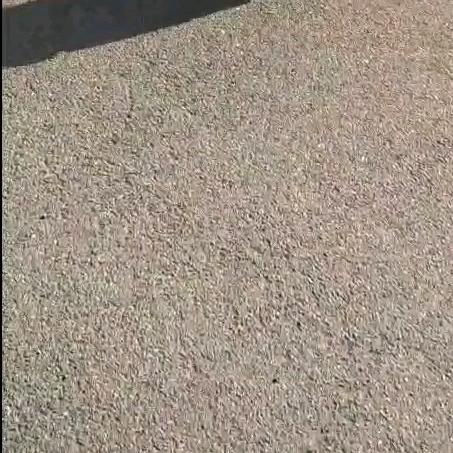 大哥大