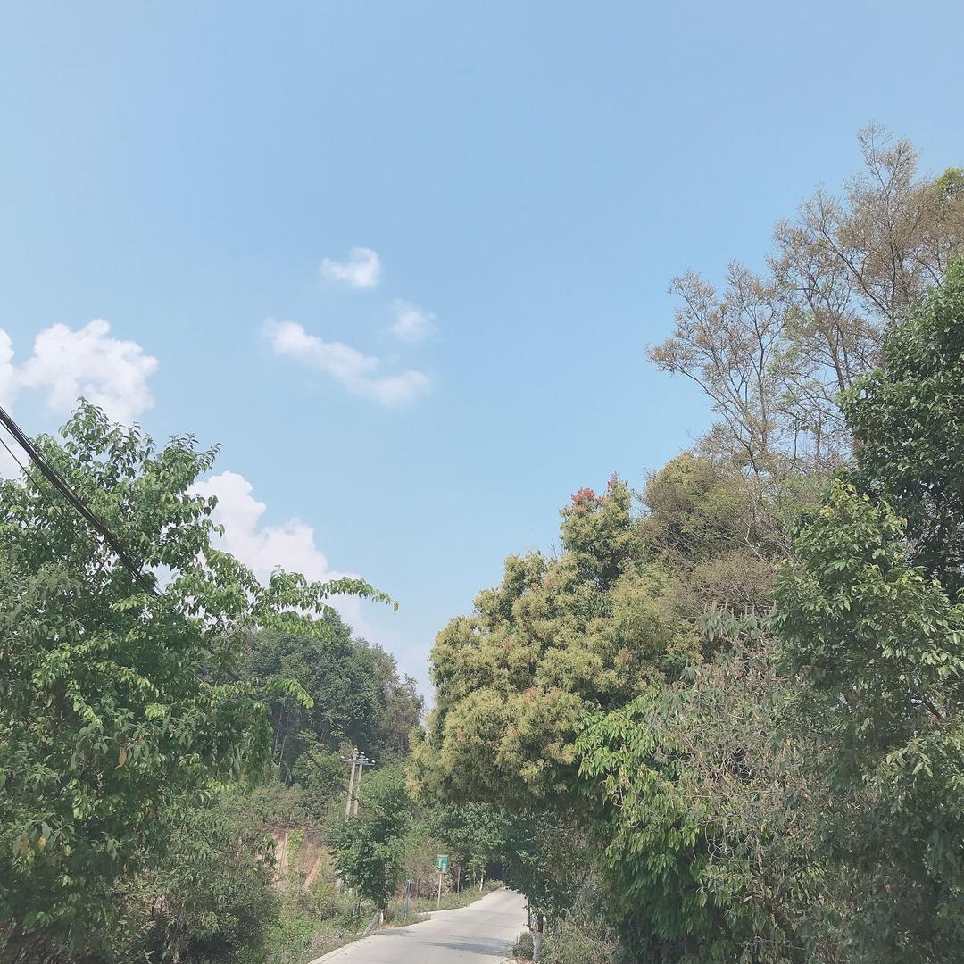 燕子（请不要连续点赞👍）