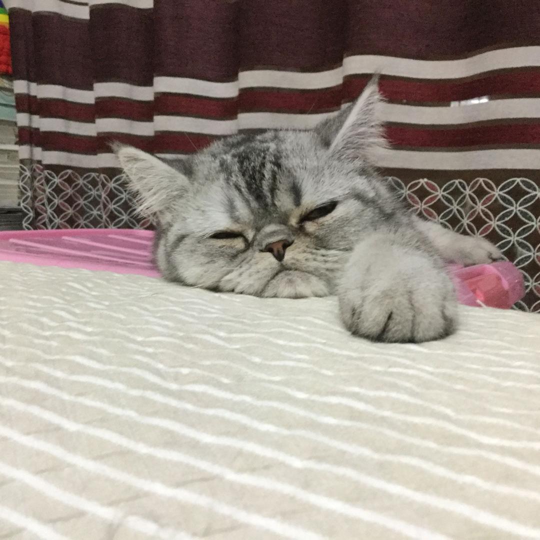 于鱼