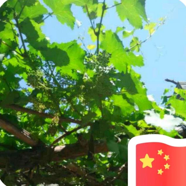 俊马奔驰