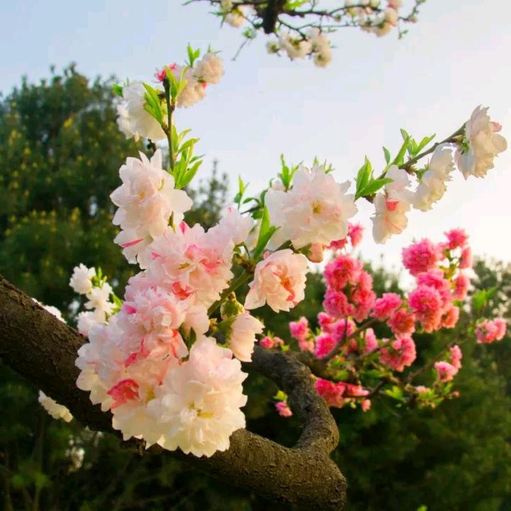 我的世界只有你