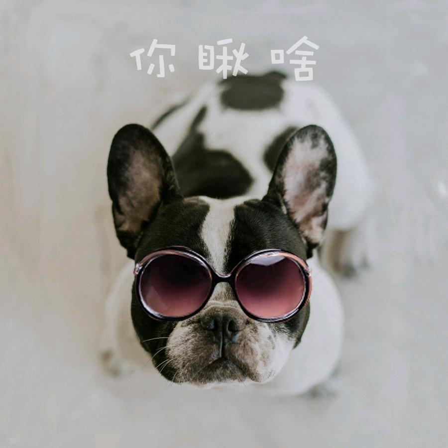 为你，我将义无反顾