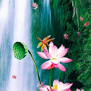 马华东