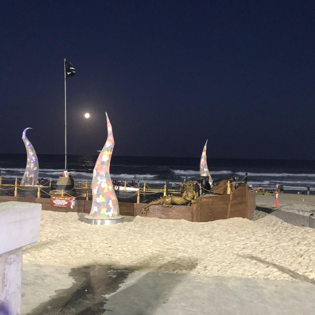 汽车达人-张志伟