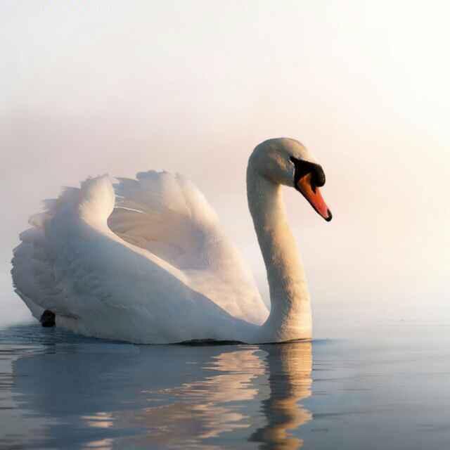 一天比一天好879