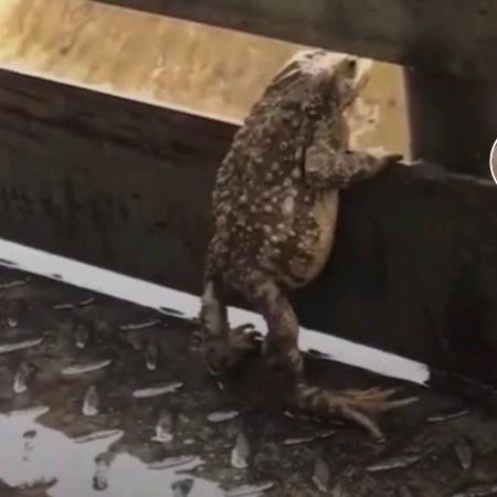 蹲点儿