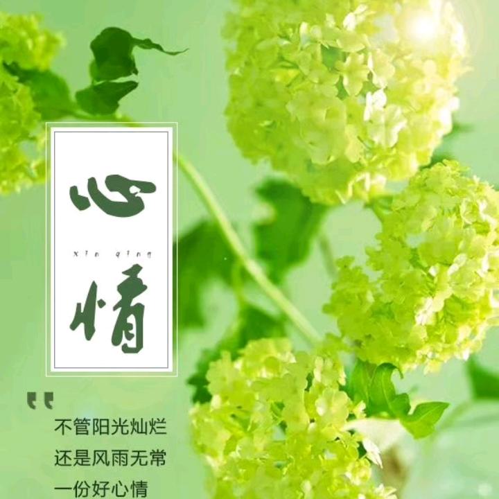 青柠