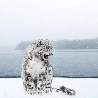 恒策广告设计工作室