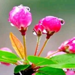 春暖花开