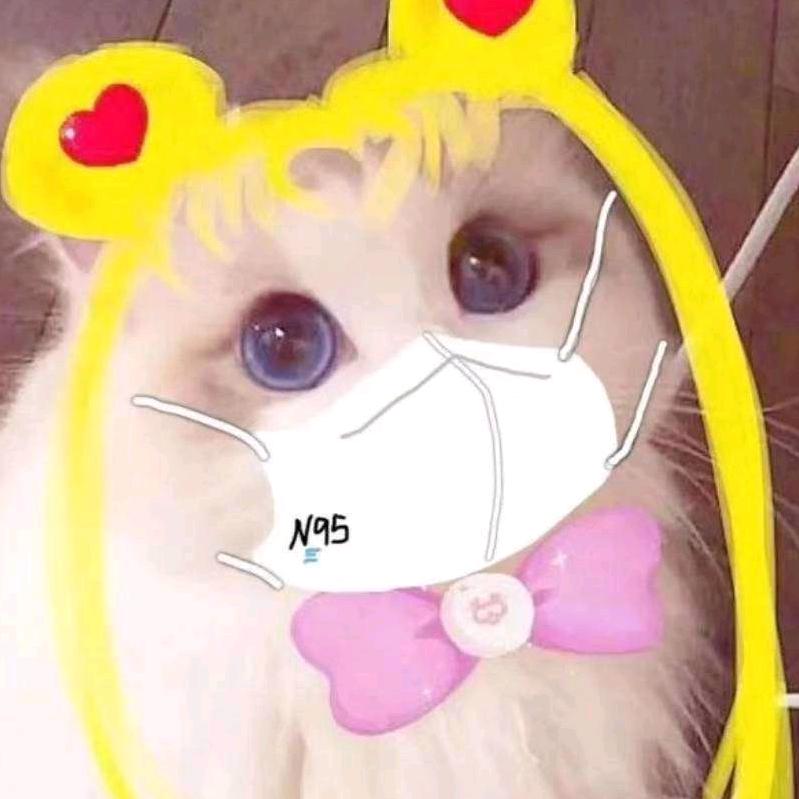 偷偷养只傻猪