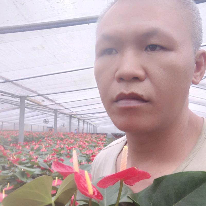 耳边的呼唤