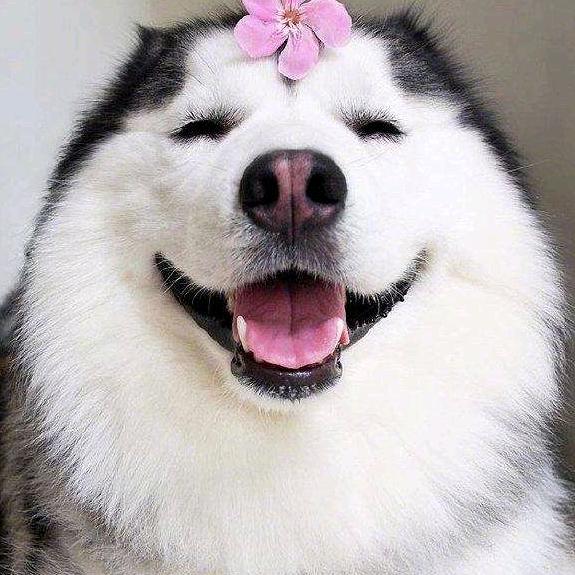 太                阳。