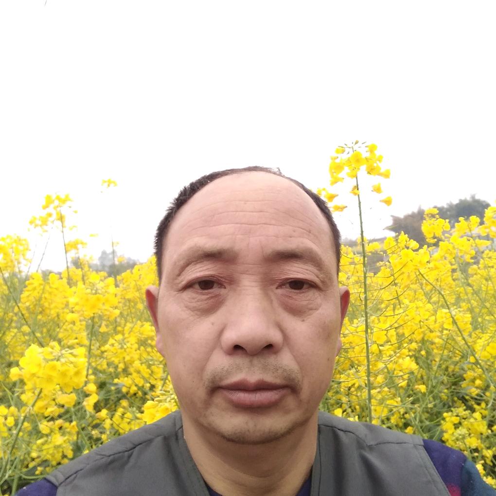 三月桃花开，大丰收十里桃缘桃子销售。