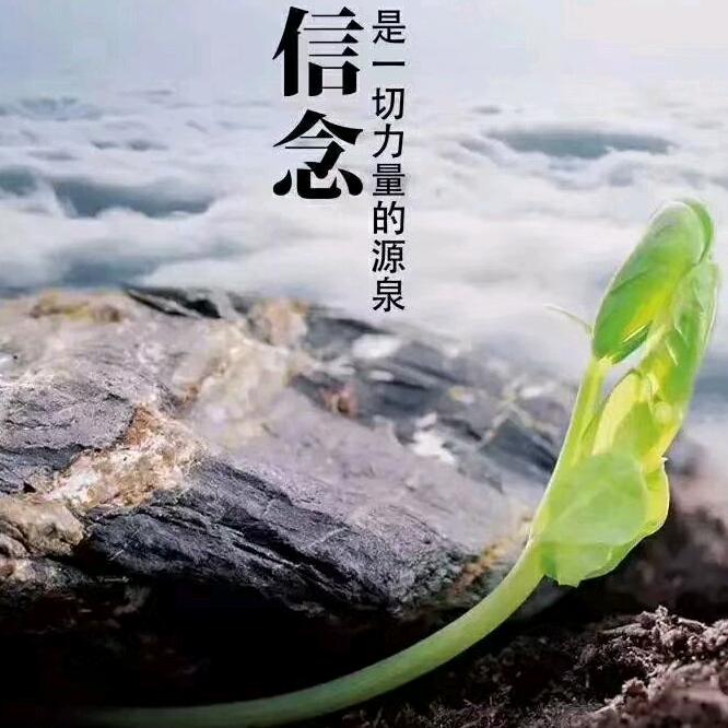 和气生财！万老二