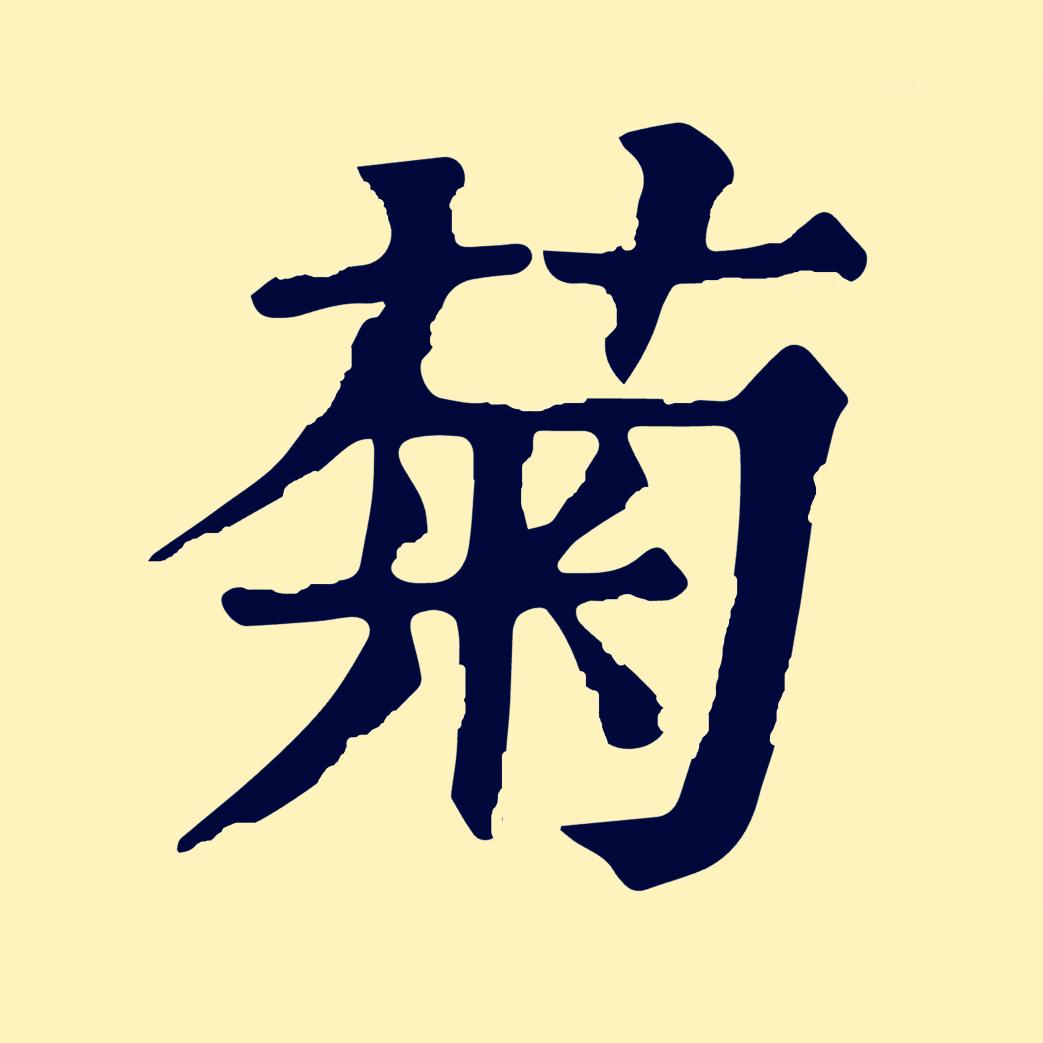 香矢车菊