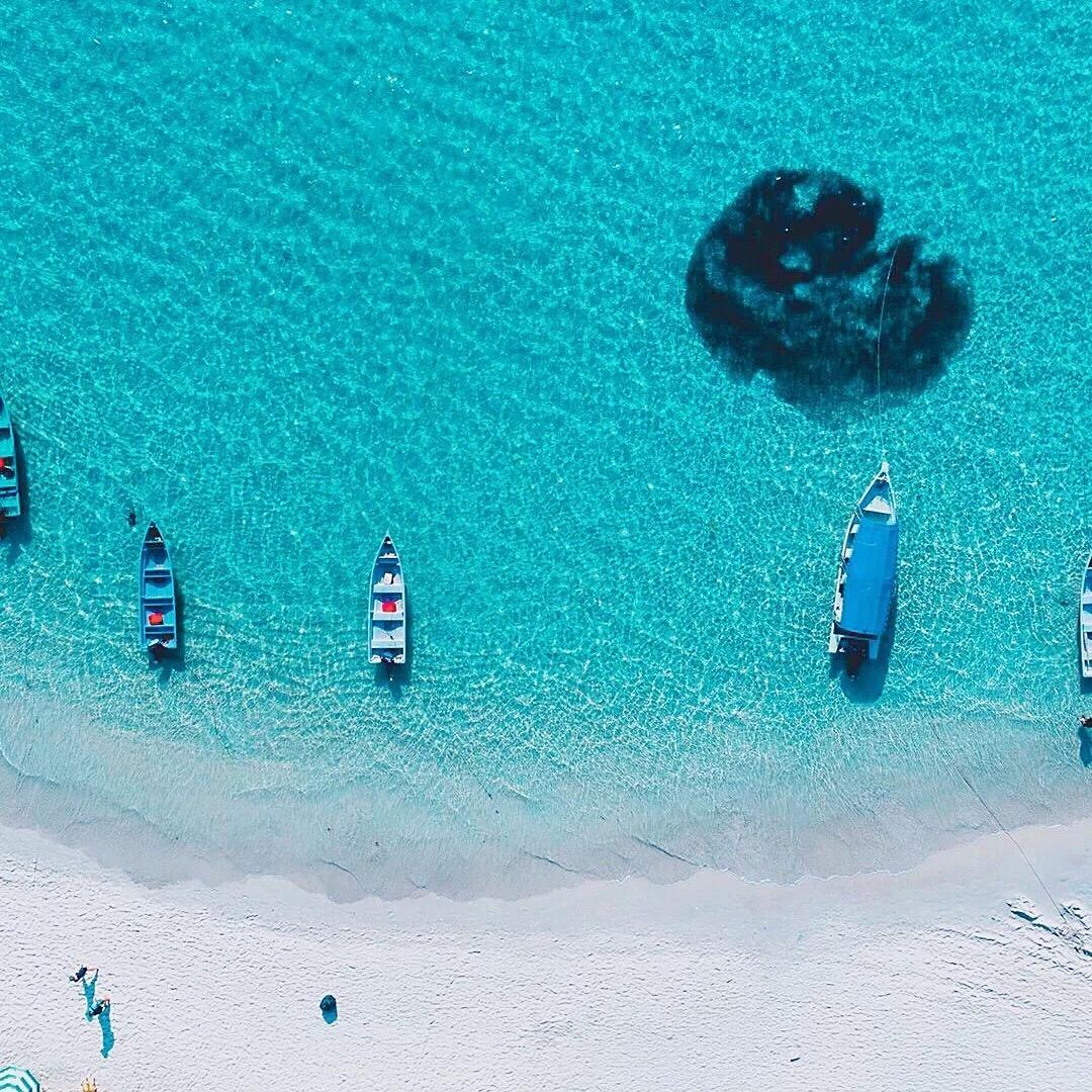 吃嗯陈·邻途品牌(金桥街店)专用号