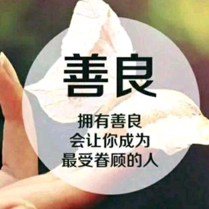 菩提路上遇自己