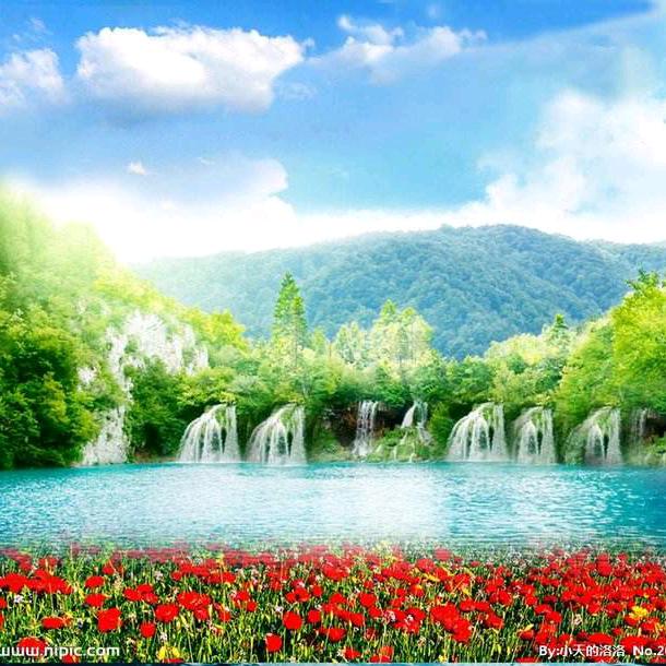 翔鹏贸易有限公司