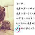 萧潇