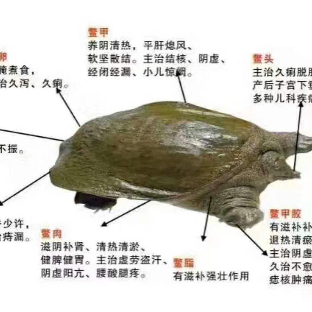 沭阳品胜水产养殖有限公司