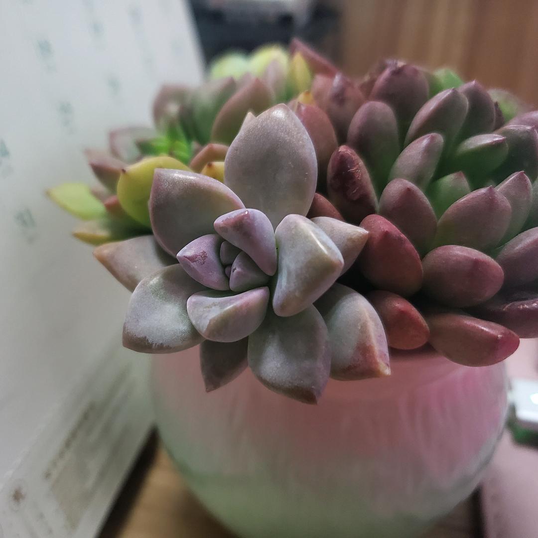 好好