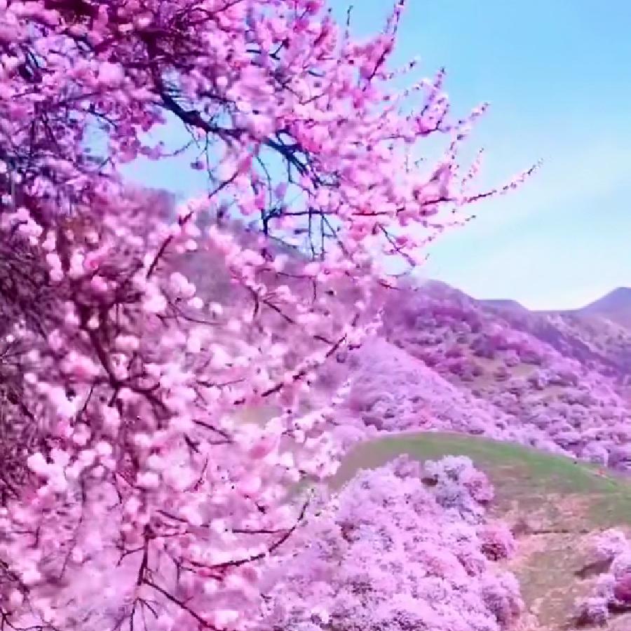 宇岩