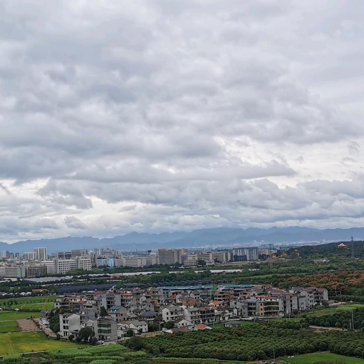 空心菜，PET回收