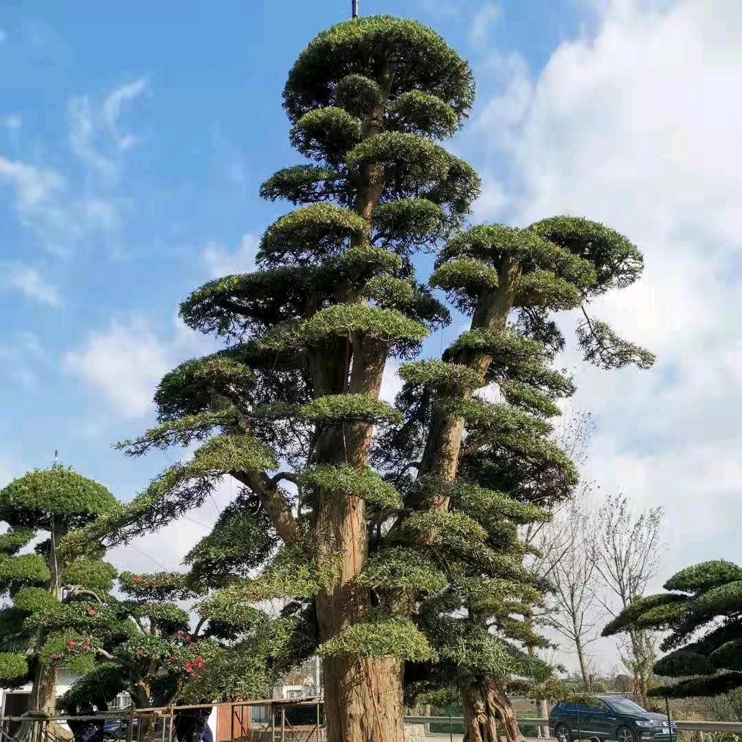 💪💪别提过去重新开始💪💪