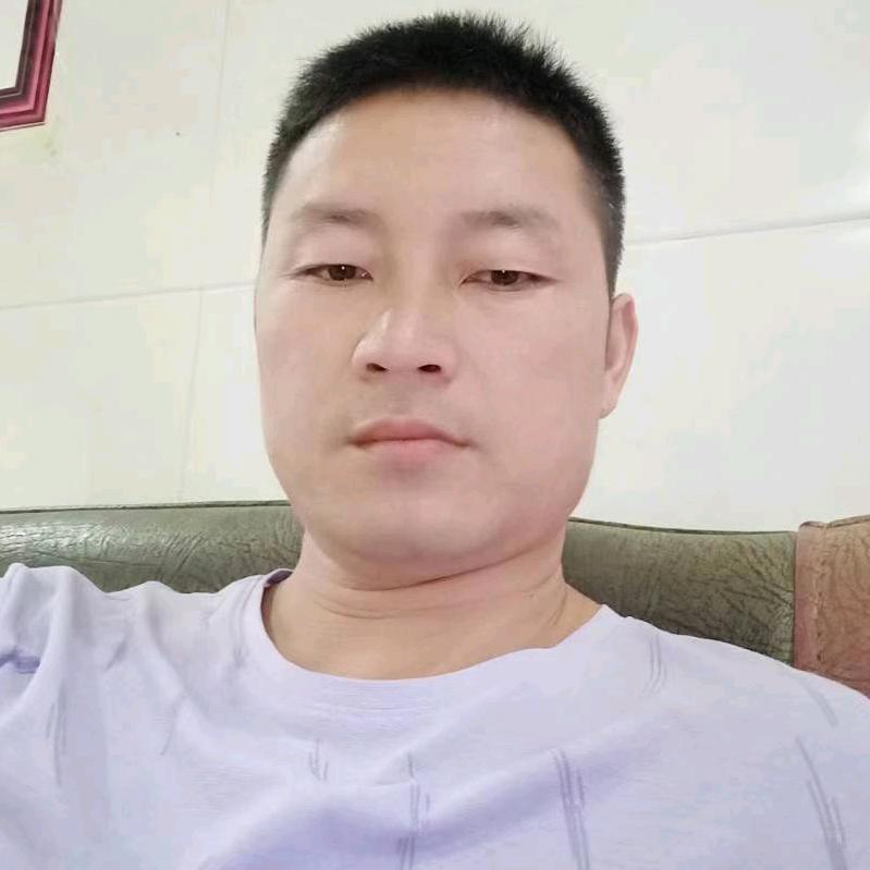 高安金灿灿汽运