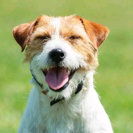 小沐沐成长记录