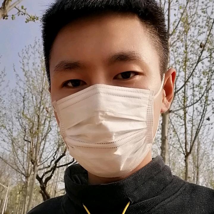 牛科