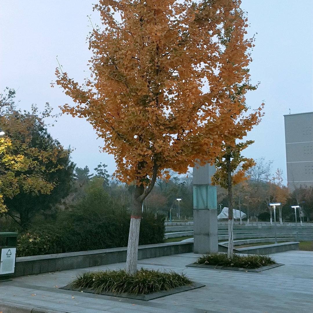 圆气满满