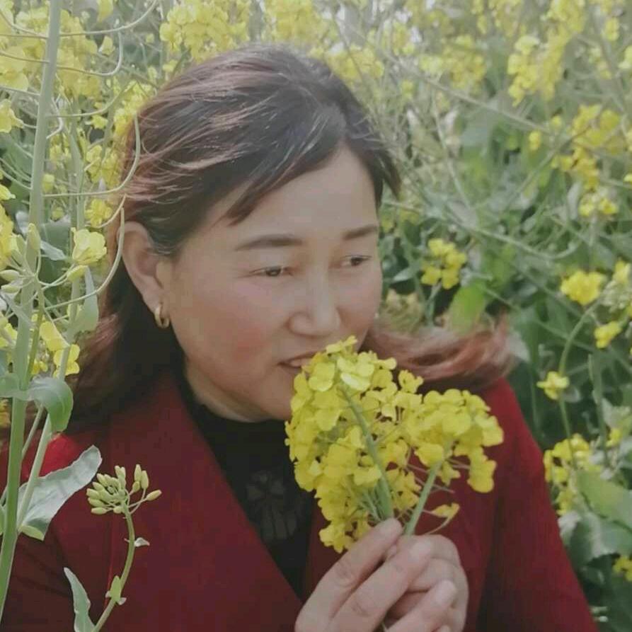 张志琴