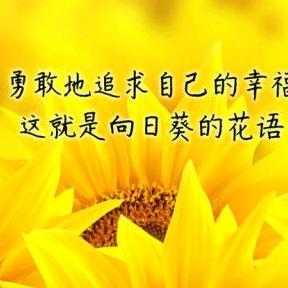 老张