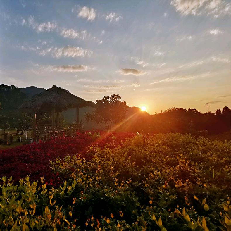 酱香型小钧哥