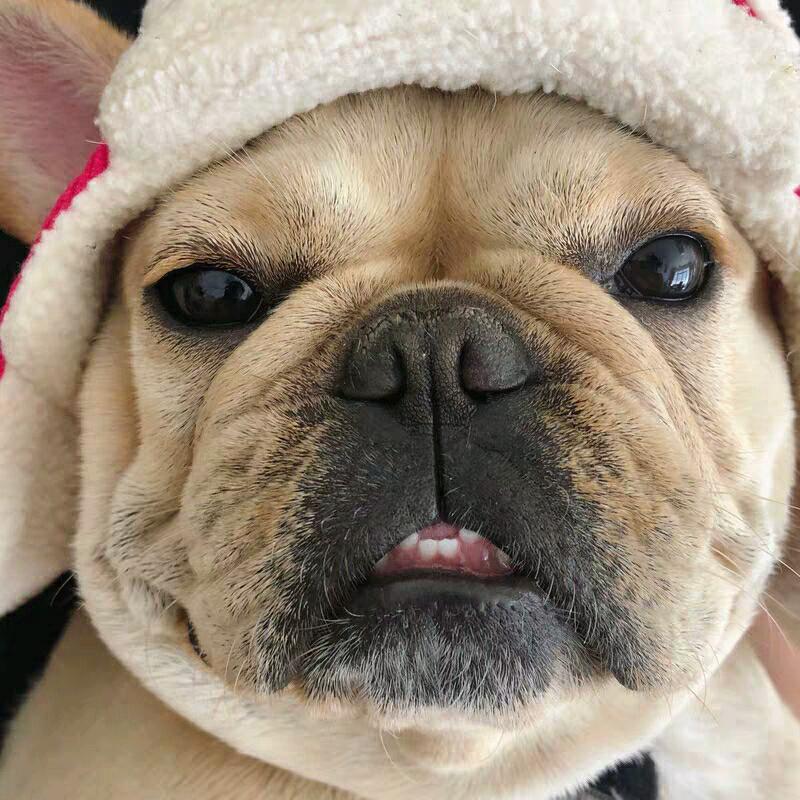 河北妮嫁山东汉