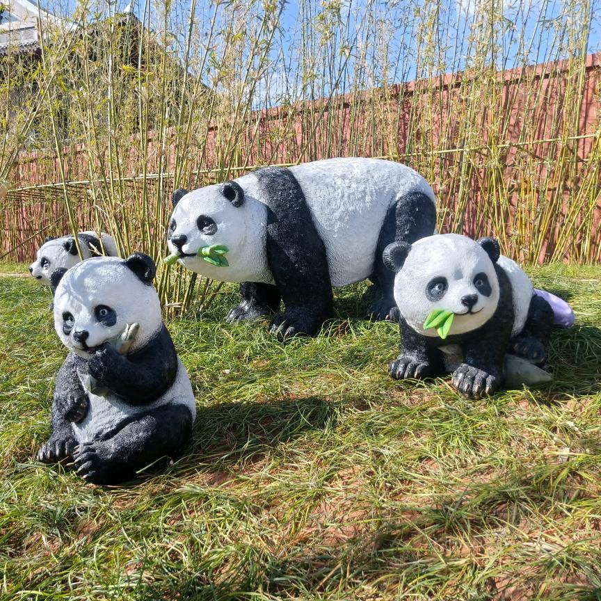 南方的云