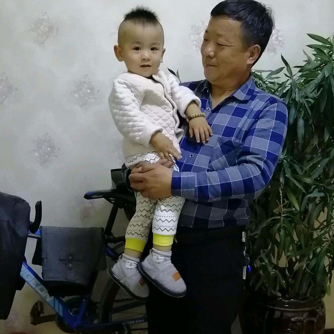 向日葵