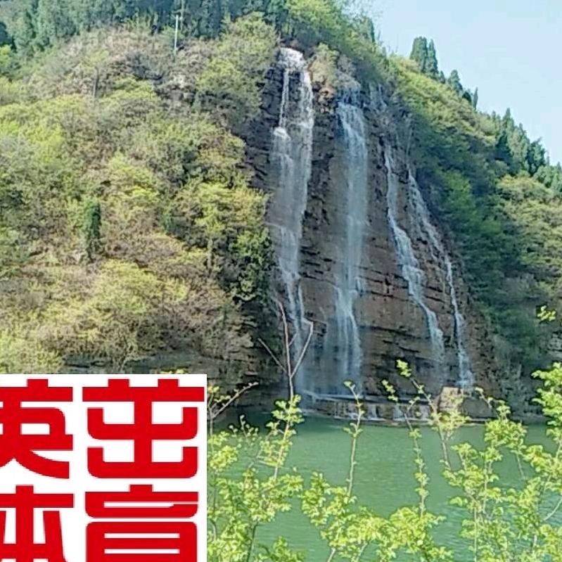 用户8131992777488