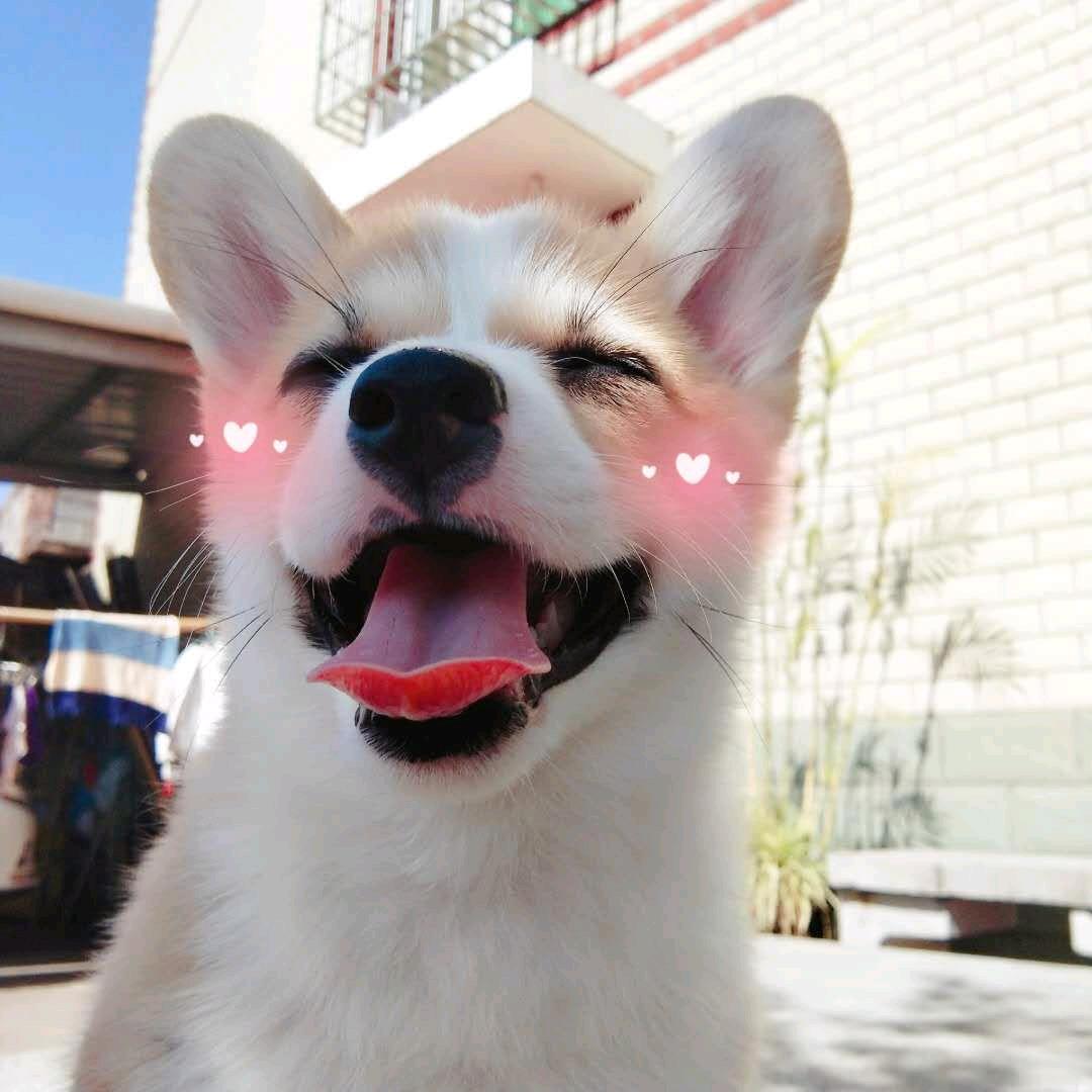 咕嘟的阿黎