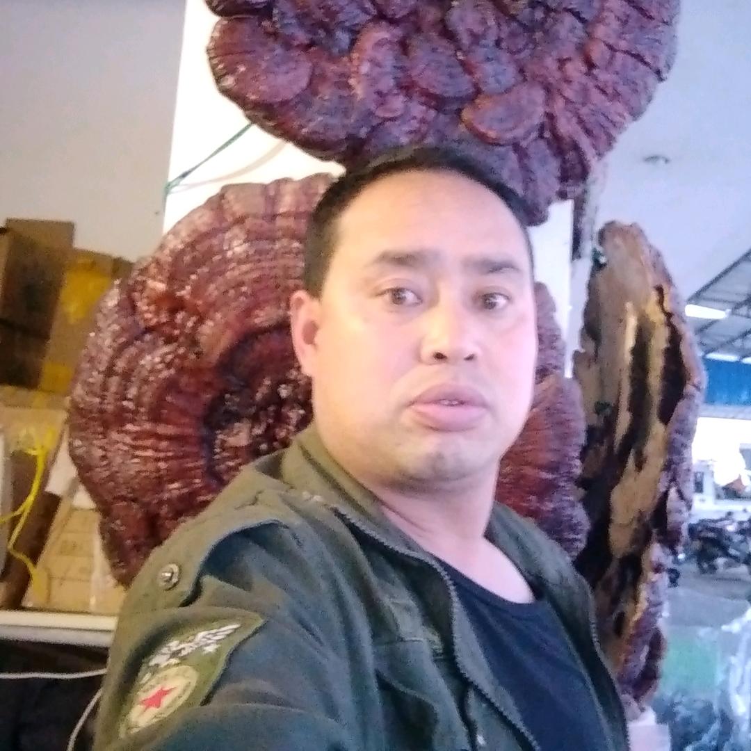 土特产林哥