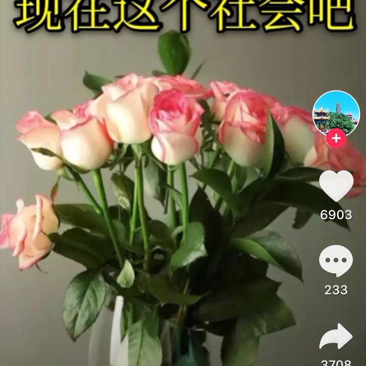 分分精彩*秒秒幸福！