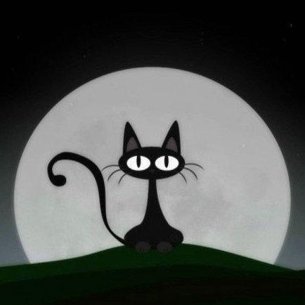 尼时斗篷披肩女装