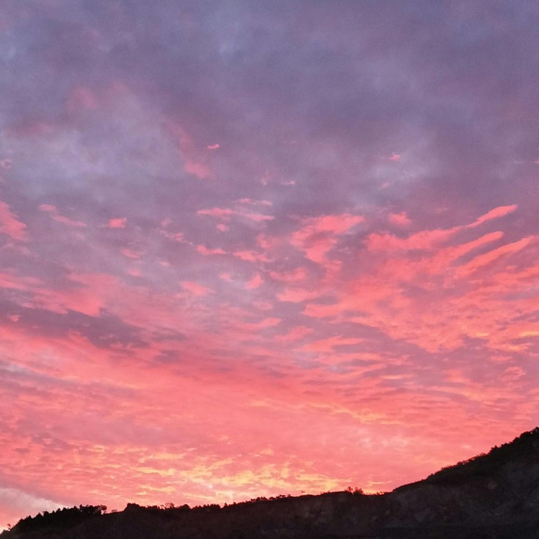 独爱夕阳红