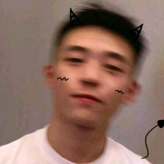 辽阳可乐(恩师三手月季)