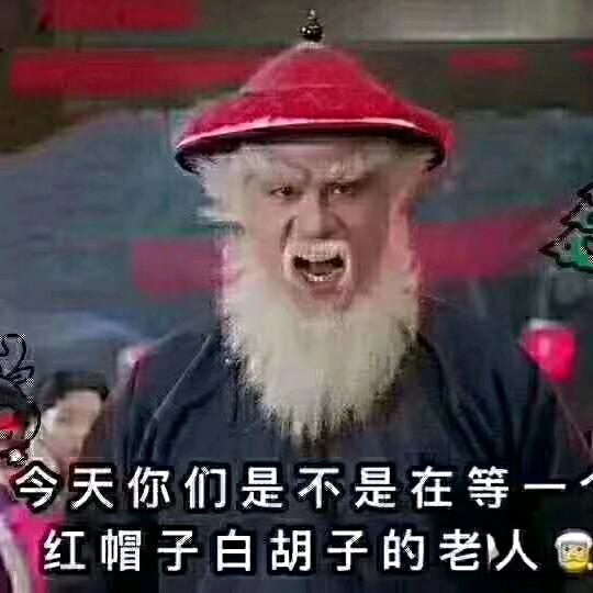龙猫