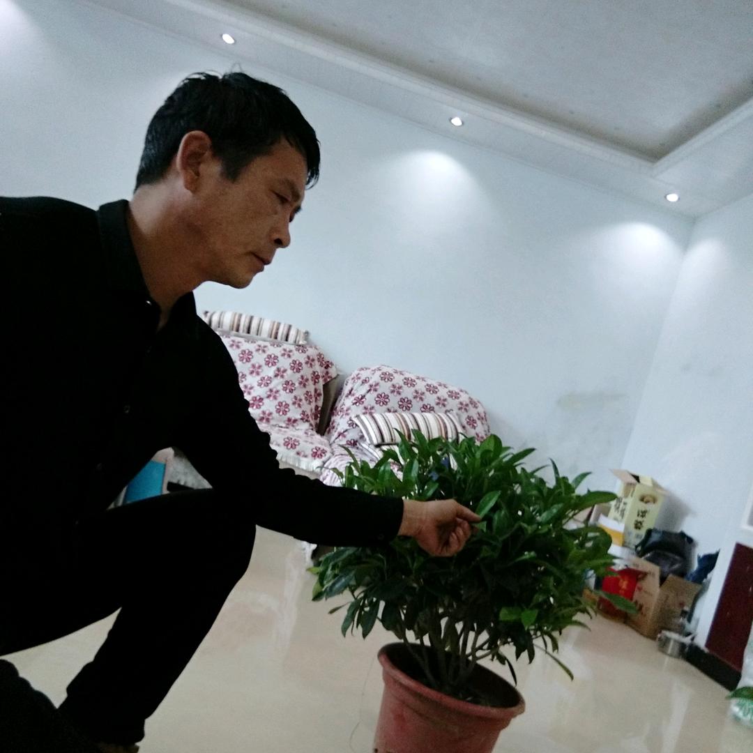 👑自娱自乐🌴