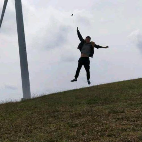 金苹果