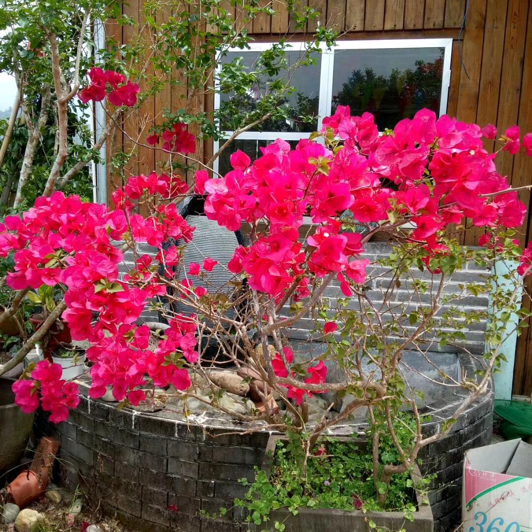 逆风而行🍁🍁