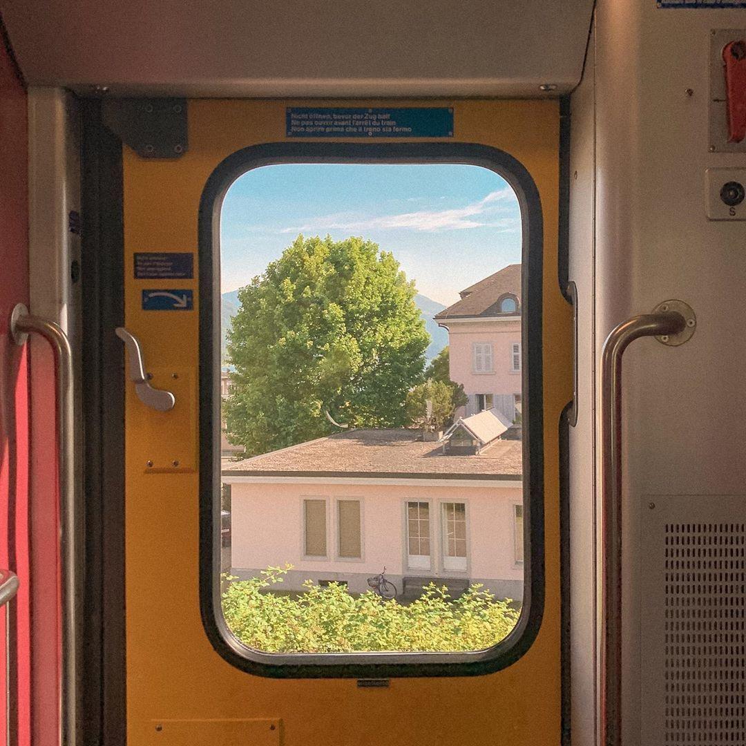 蝎子莱莱（见过coldplay版）